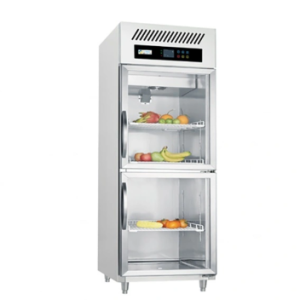 Double Glass Door Refrigerator SY-RC450G